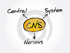 CNS - Central Nervous System acronym, medical concept