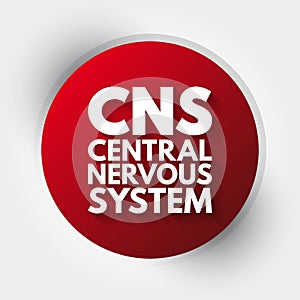 CNS - Central Nervous System acronym, medical concept background