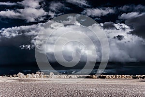 Cntrast infrared landscape, countryside view