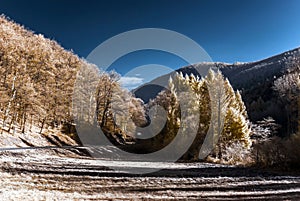 Cntrast infrared landscape, countryside view