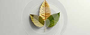 Co Reducing Icon On Green Leaf For Climate Change Concept