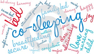Co-Sleeping Word Cloud