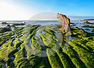 Co Thach beach with the rocks in Ninh Thuan, Vietnam