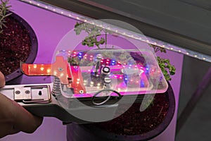 co2 measuring device for measuring photosynthesis of plant growing with artificial led light