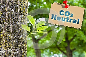 CO2 Net-Zero Emission - Carbon Neutrality concept against a forest