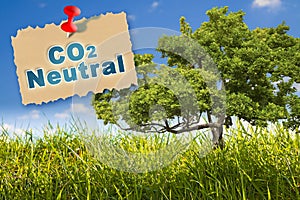 CO2 Net-Zero Emission - Carbon Neutrality concept with lone tree