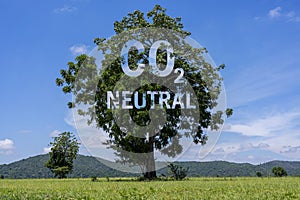 CO2 neutral written on a tree trunk, carbon neutrality concept