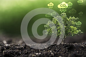CO2 reducing icon with tree on greenery background for decrease CO2 , carbon footprint and carbon credit to limit global warming