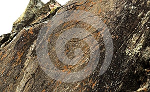 Coa River â€“ Prehistoric Rock Engravings