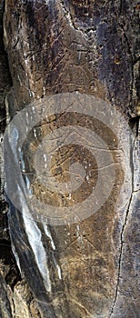 Coa River â€“ Prehistoric Rock Engravings