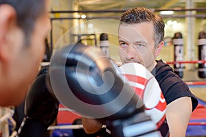 coach and man in boxing class photo