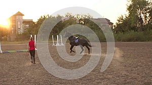 Coach teaches the horse to run at the racetrack.