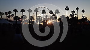 The Coachella Valley Festival with sunset and the big wheel with an open backdrop of palm trees