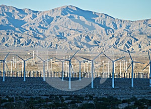 Coachella Valley windmills