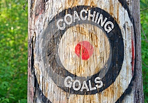 Coaching Goals - tree with target and text