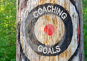 Coaching Goals - tree with target and text photo