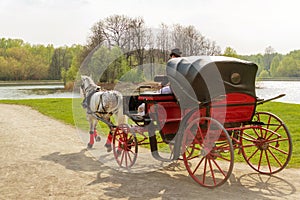 Coachman in cloak sits in coach with horse and hold reins in spring park