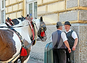 Coachmen in Crakow.