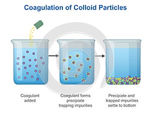 Coagulation of Colloid Particles vector illustration