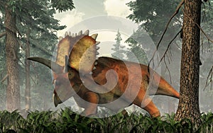 Coahuilaceratops