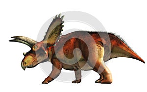 Coahuilaceratops, Side View