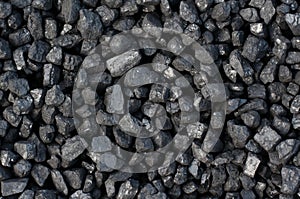 Coal