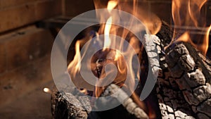 Coal and fire. burning fire, firewood coal closeup in the fireplace, 4k. Flames of camping fire, burning firewood.