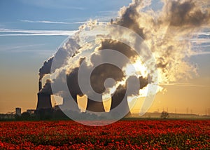 Coal Fired Power Plant and Poppy Field