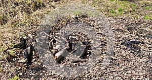 Coal after fireless bonfire