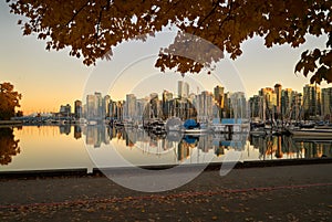 Coal Harbor Stanley Park Dusk Light