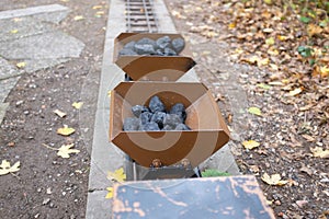 Coal-laden garden railway