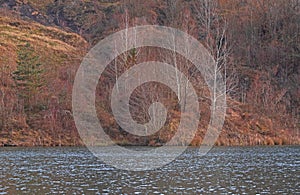 A coal lake and a colorful forest background