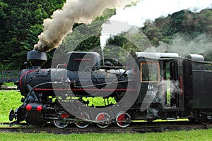 Coal locomotive in Cisna-Majdan station, Poland