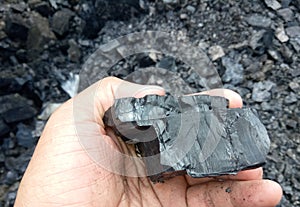 Coal sample in the mine