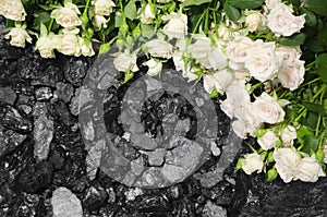 Coal stone white roses background