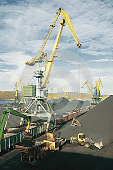 Coal terminal in the seaport, coal unloading, sorting.