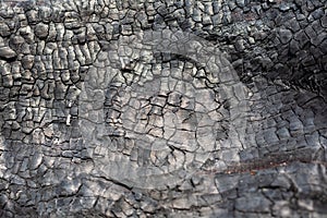 Coal texture close up. Macro burned wood surface. Black textured charcoal background