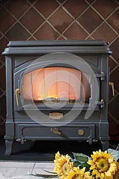 Coal / wood stove