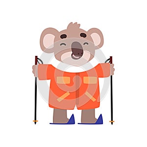 Coala bear skiing, cute animal cartoon character on winter vacation vector Illustration on a white background