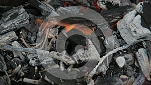 The coals burning in the grill, close up. Preparation of coals for roasting shish kebab