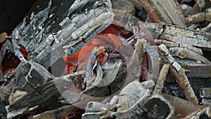 The coals burning in the grill, close up. Preparation of coals for roasting shish kebab