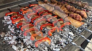 Coals, fire, firewood, skewer