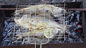 On coals fish with a lemon is baked.