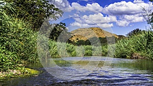 Coamo River on a sunny day.