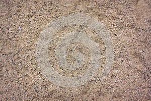 Coarse sand texture. Sunlit sandy beach surface, macro background texture