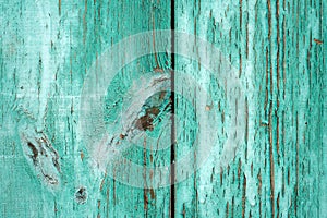 Coarse texture of old wood rustic background with peeling light green paint