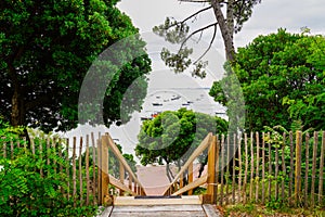 Coast access beach sea pathway stairs after pine forest to ocean atlantic coast at Lacanau in France