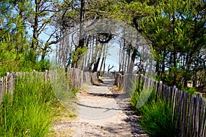 Coast access leading to ocean beach atlantic coast at le Porge near Lacanau in France