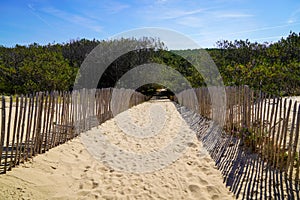 Coast access wooden fence to ocean beach atlantic coast at Lacanau in France