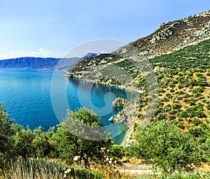 Coast of the Aegean Sea, Peloponnese. Near Leonidio